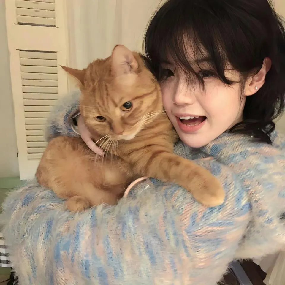 天才职业故事第二季